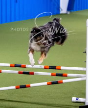 2025-10-12-BANDA-SUN-1437