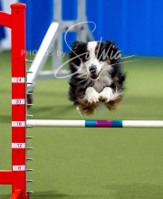 2025-10-12-BANDA-SUN-1445