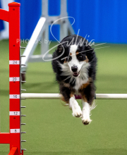 2025-10-12-BANDA-SUN-1446