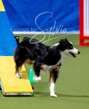 2025-10-12-BANDA-SUN-1450