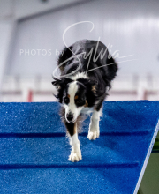 2025-10-12-BANDA-SUN-1452