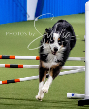 2025-10-12-BANDA-SUN-1454