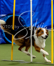 2025-10-12-BANDA-SUN-1456