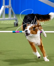 2025-10-12-BANDA-SUN-1467