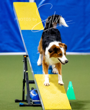 2025-10-12-BANDA-SUN-1471