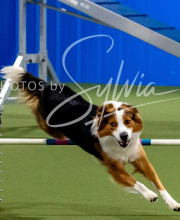 2025-10-12-BANDA-SUN-1475