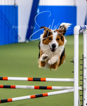 2025-10-12-BANDA-SUN-1477