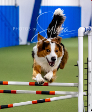 2025-10-12-BANDA-SUN-1478