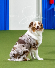 2025-10-12-BANDA-SUN-148