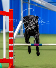 2025-10-12-BANDA-SUN-1482