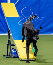 2025-10-12-BANDA-SUN-1486