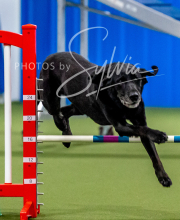 2025-10-12-BANDA-SUN-1488