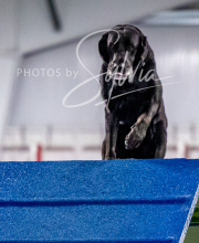 2025-10-12-BANDA-SUN-1490