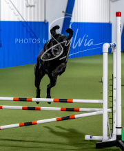 2025-10-12-BANDA-SUN-1492