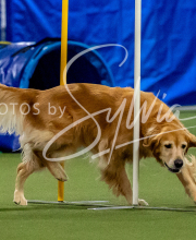 2025-10-12-BANDA-SUN-1495