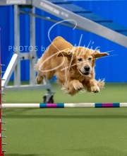 2025-10-12-BANDA-SUN-1501