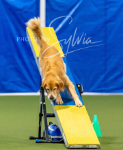 2025-10-12-BANDA-SUN-1503