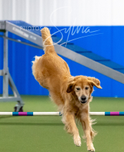 2025-10-12-BANDA-SUN-1505