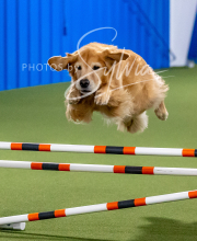 2025-10-12-BANDA-SUN-1506