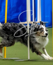 2025-10-12-BANDA-SUN-1509