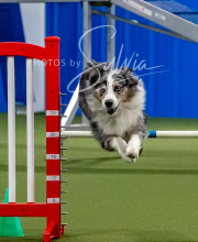 2025-10-12-BANDA-SUN-1512