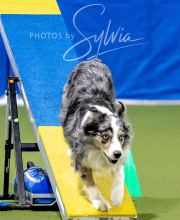 2025-10-12-BANDA-SUN-1517