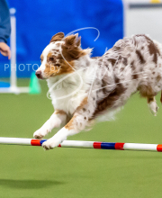 2025-10-12-BANDA-SUN-152