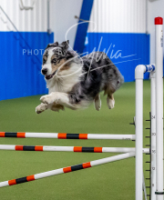 2025-10-12-BANDA-SUN-1524