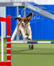 2025-10-12-BANDA-SUN-1526