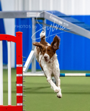 2025-10-12-BANDA-SUN-1527