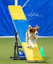 2025-10-12-BANDA-SUN-1530