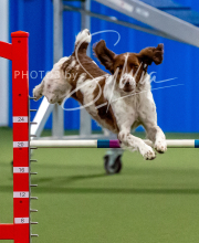 2025-10-12-BANDA-SUN-1531