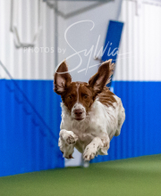 2025-10-12-BANDA-SUN-1534