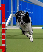 2025-10-12-BANDA-SUN-1538