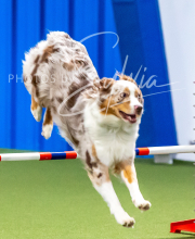 2025-10-12-BANDA-SUN-154