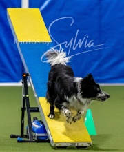 2025-10-12-BANDA-SUN-1541