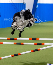 2025-10-12-BANDA-SUN-1542