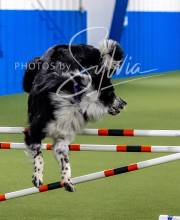 2025-10-12-BANDA-SUN-1544