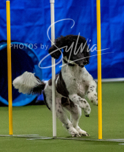 2025-10-12-BANDA-SUN-1546