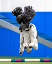 2025-10-12-BANDA-SUN-1549