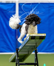 2025-10-12-BANDA-SUN-1551