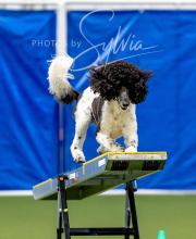 2025-10-12-BANDA-SUN-1552