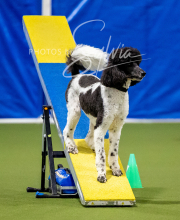 2025-10-12-BANDA-SUN-1556