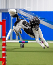 2025-10-12-BANDA-SUN-1559