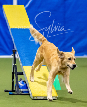 2025-10-12-BANDA-SUN-1563