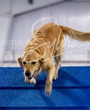 2025-10-12-BANDA-SUN-1566