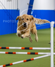 2025-10-12-BANDA-SUN-1568