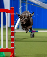 2025-10-12-BANDA-SUN-1571