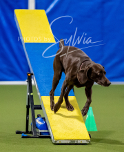 2025-10-12-BANDA-SUN-1575