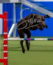 2025-10-12-BANDA-SUN-1578